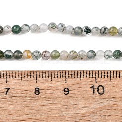 Natural Moss Agate Beads Strands&nbsp;G-Z116-A05-3mm