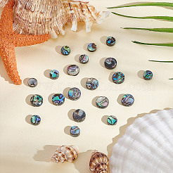 20Pcs 2 Styles Natural Abalone Shell/Paua Shell Beads Strands&nbsp;SSHEL-HY0001-10