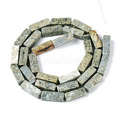 Natural Variscite Beads Strands&nbsp;G-T141-108