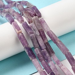 Natural Lepidolite/Purple Mica Stone Beads Strands&nbsp;G-E612-C05-B