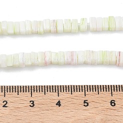 Handmade Lampwork Beads Strands&nbsp;LAMP-Q037-02A-07