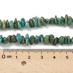 Dyed Natural Magnesite Beads Strands&nbsp;G-M448-D01-01