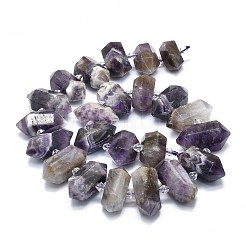 Natural Amethyst Beads Strands&nbsp;G-F715-043