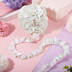 10Yards Polyester Lace Ribbon&nbsp;OCOR-TA0004-26C