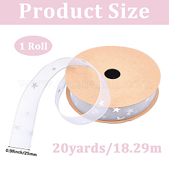 Polyester Ribbons&nbsp;SRIB-WH20020-035C