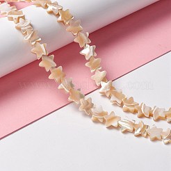 Natural Trochid Shell/Trochus Shell Beads&nbsp;SSHEL-O001-25C-01