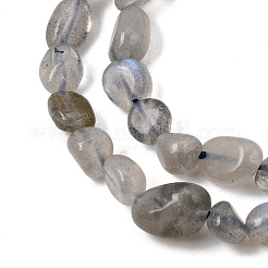 Natural Labradorite Nuggets Beads Strands&nbsp;X-G-J335-40