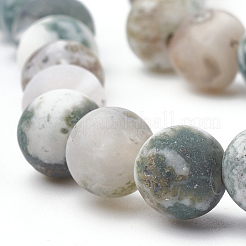 Natural Tree Agate Beads Strands&nbsp;G-T106-039