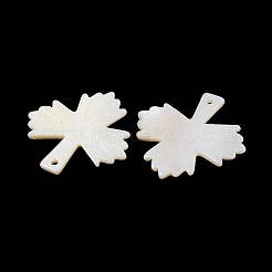 Natural Freshwater Shell Pendants&nbsp;SHEL-K006-10
