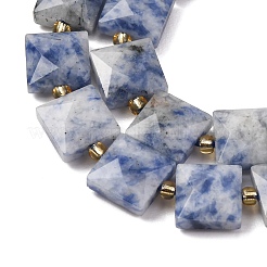 Natural Blue Spot Jasper Beads Strands&nbsp;G-F839-A15-01