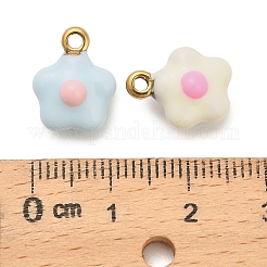 304 Stainless Steel Enamel Pendants&nbsp;STAS-P417-02G