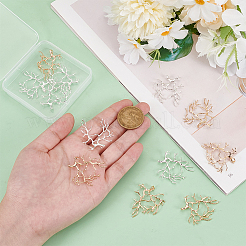 12Pcs 2 Colors Brass Pendants&nbsp;FIND-NB0005-27