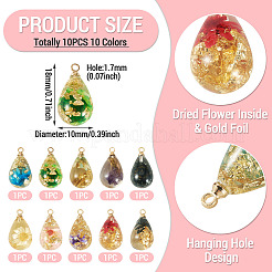10Pcs 10 Colors Transparent Resin Pendants&nbsp;RESI-TA0004-84