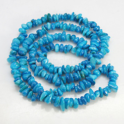 Natural Shell Beads Strands&nbsp;BSHE-D002-04