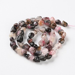 Dyed Natural Ocean White Jade Beads Strands&nbsp;G-P497-01C-41