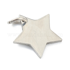 Tarnish Resistant (Defective Closeout Sale: Scratches)304 Stainless Steel Charms&nbsp;STAS-XCP0001-34