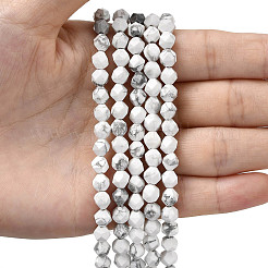 Natural Howlite Beads Strands&nbsp;G-Z119-A43-01