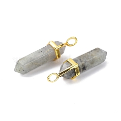 Natural Labradorite Pointed Pendants&nbsp;G-G025-01G-38
