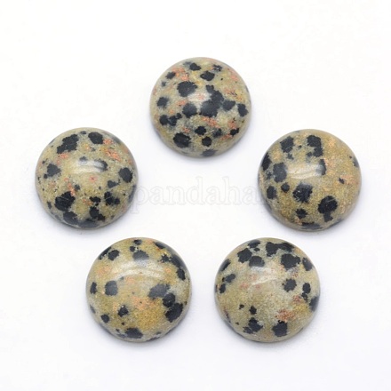 Natural Dalmatian Jasper Cabochons&nbsp;G-P393-R33-10MM-1