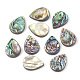 Abalone Shell/Paua Shell Beads&nbsp;SHEL-T005-02-1