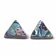 Abalone Shell/Paua Shell Beads&nbsp;SSHEL-T008-16-2