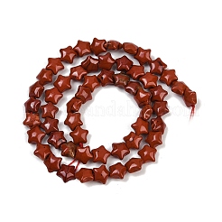 Natural Red Jasper Beads Strands&nbsp;G-Z080-A18-8mm