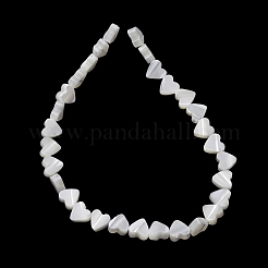 Natural Trochid Shell/Trochus Shell Beads Strands&nbsp;SH-CBA2978-10