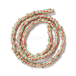 Handmade Lampwork Beads Strands&nbsp;BLOW-K001-01A-04