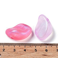 Transparent Acrylic Beads&nbsp;OACR-Z013-16