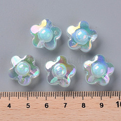 Transparent Acrylic Beads&nbsp;TACR-S152-09B-10