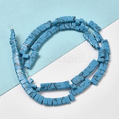 Synthetic Turquoise Beads Strands&nbsp;G-Z045-A23-01