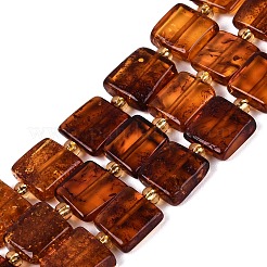 Natural Bloody Amber Beads Strands&nbsp;G-N371-15A-01