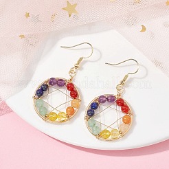 Natural Mixed Gemstone Round Beaded Dangle Earrings&nbsp;EJEW-JE05456-01