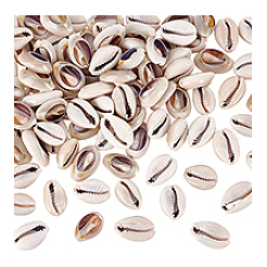 100Pcs Natural Cowrie Shell Beads&nbsp;BSHE-PH0001-64