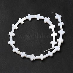 Natural Freshwater Shell Beads Strands&nbsp;X-BSHE-E026-18