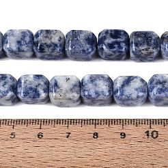 Natural Blue Spot Jasper Beads Strands&nbsp;G-Q608-10G