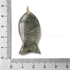 Natural Labradorite Pendants&nbsp;KK-D021-05H-G
