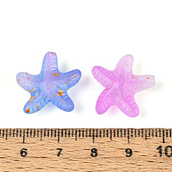 Frosted Transparent Acrylic Beads&nbsp;FACR-T007-03