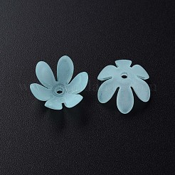 Transparent Acrylic Beads&nbsp;MACR-S373-47-D07