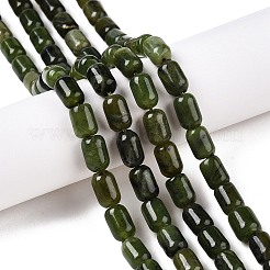 Natural Canadian Jade Beads Strands&nbsp;G-G980-49B