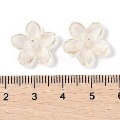 Transparent Spray Paint Glass Beads&nbsp;GLAA-Z011-07D
