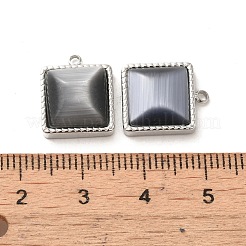 304 Stainless Steel Charms&nbsp;STAS-L022-075P-02