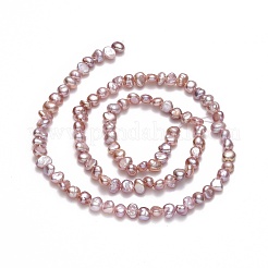 Natural Cultured Freshwater Pearl Beads Strands&nbsp;PEAR-A005-05J-01