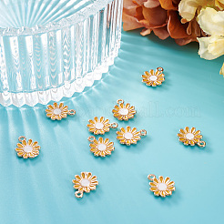 Alloy Enamel Charms&nbsp;PALLOY-TAC0009-57C