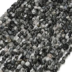 Natural Eagle Eye Stone Beads Strands&nbsp;G-D108-A02-04