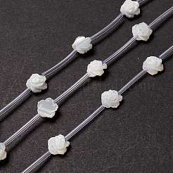 Natural Trochid Shell/Trochus Shell Beads Strands&nbsp;SSHEL-O001-21B