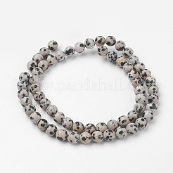 Natural Dalmatian Jasper Bead Strands&nbsp;G-G735-68-6mm