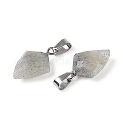 Natural Labradorite Pendants&nbsp;G-N349-18P-04