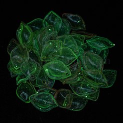 Transparent Acrylic Pendants&nbsp;MACR-D024-14