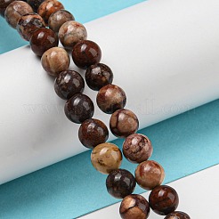 Natural Gemstone Beads Strands&nbsp;G-R494-A22-02